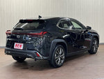 LEXUS UX250h