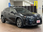 LEXUS UX250h