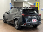 LEXUS UX250h