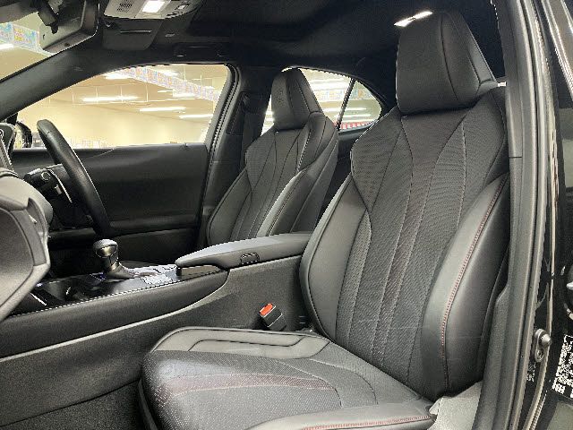 LEXUS UX250h