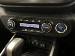 RAIZE HYBRID