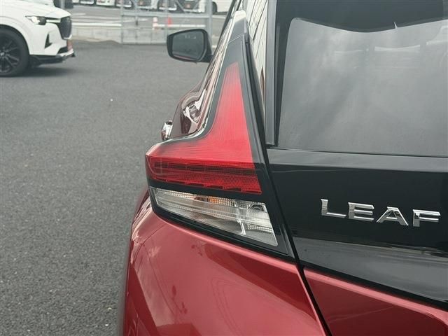 LEAF