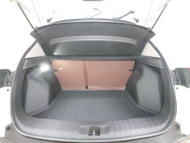 WR-V