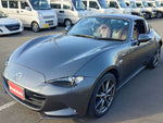 ROADSTER RF