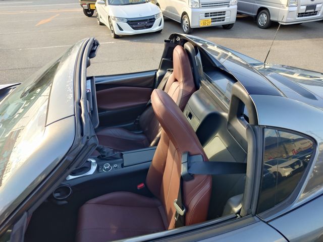 ROADSTER RF