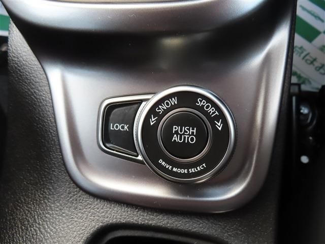 ESCUDO WG 4WD