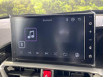 RAIZE HYBRID