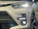 RAIZE HYBRID