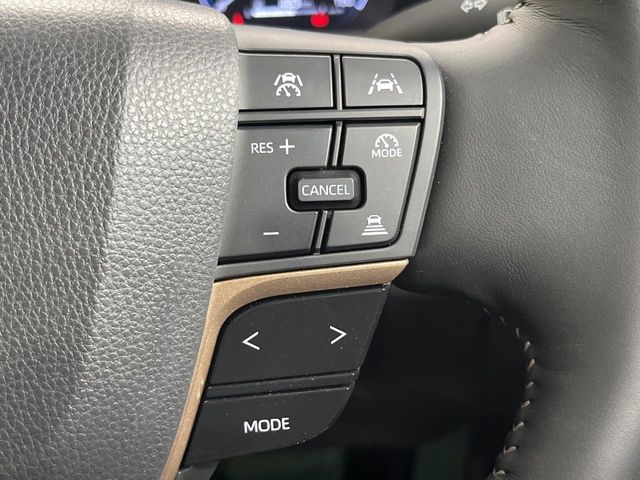 CROWN SPORT