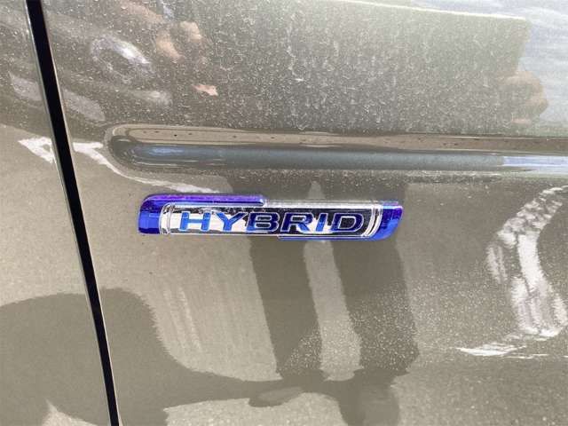 HUSTLER