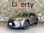 LEXUS UX250h