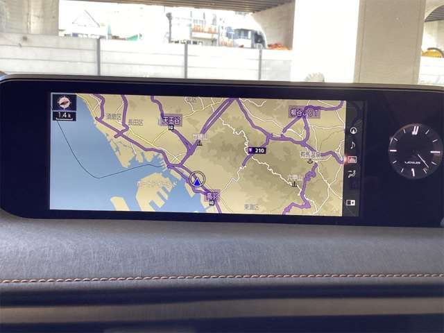 LEXUS UX250h