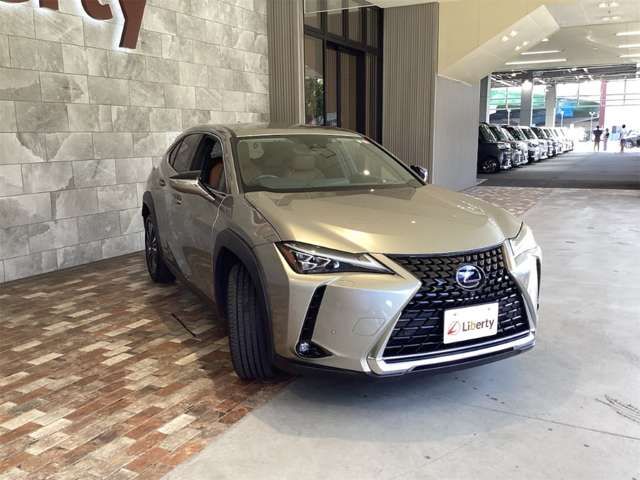 LEXUS UX250h