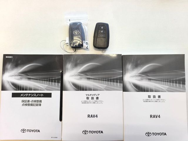 RAV4 HYBRID 4WD