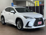 LEXUS NX350h
