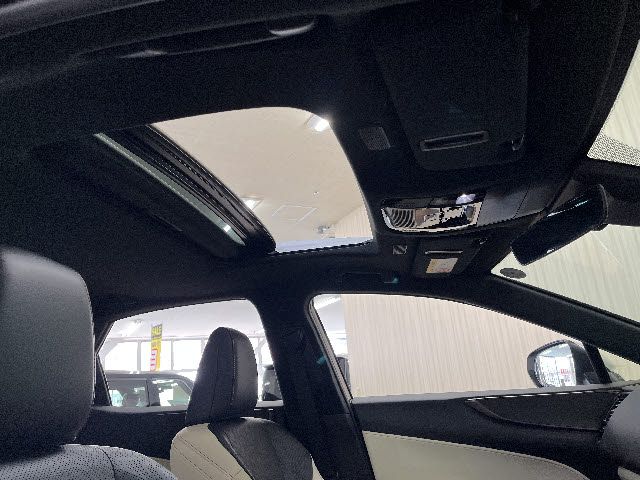 LEXUS NX350h