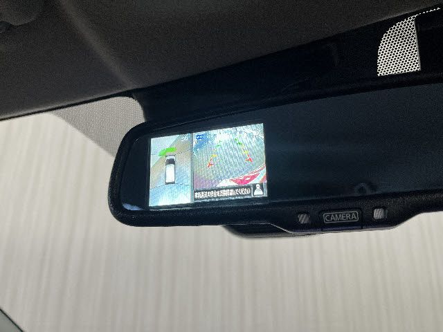 DAYZ