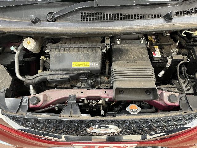 DAYZ