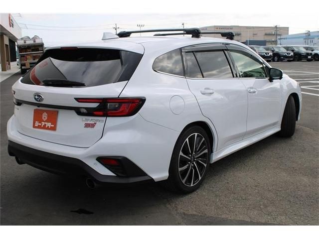 LEVORG