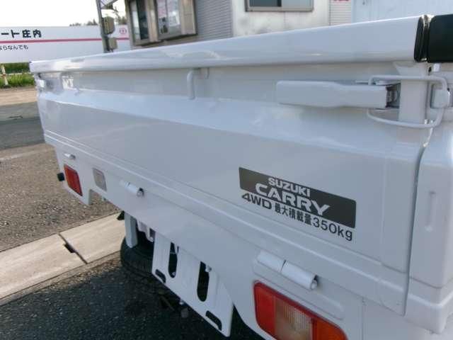 CARRY truck 4WD