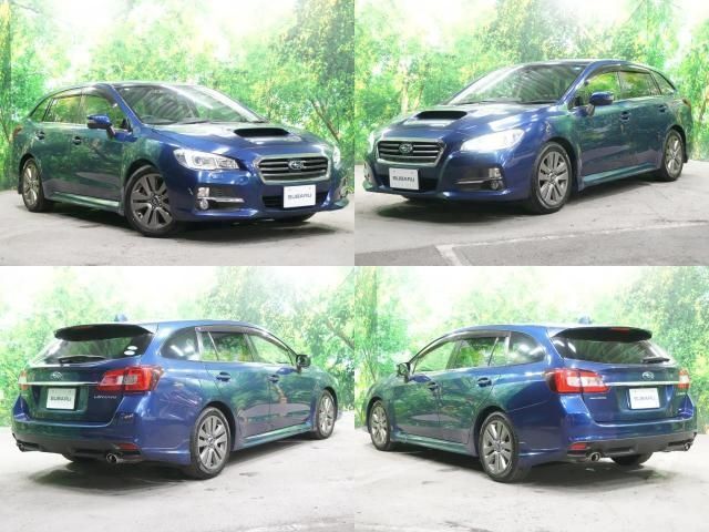 LEVORG