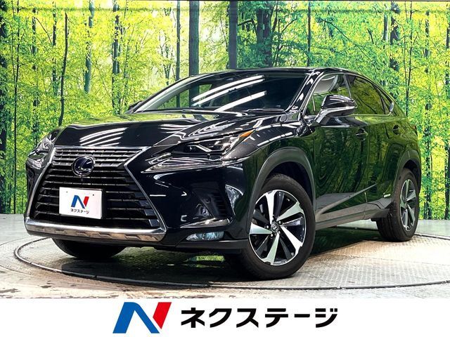 LEXUS NX300h
