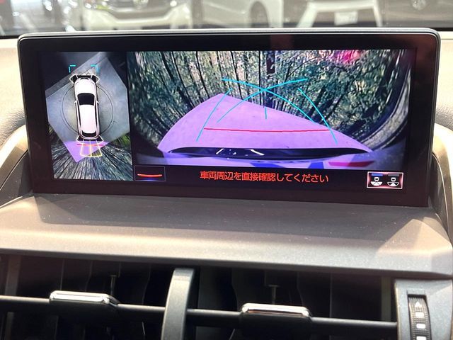 LEXUS NX300h