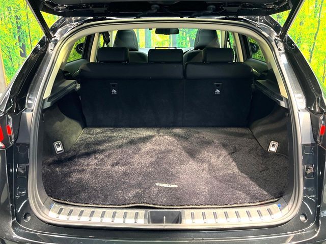 LEXUS NX300h