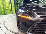 LEXUS NX300h