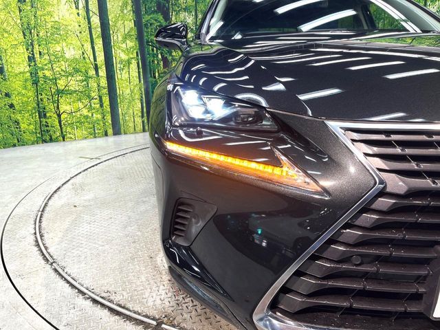 LEXUS NX300h