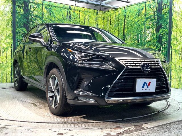 LEXUS NX300h