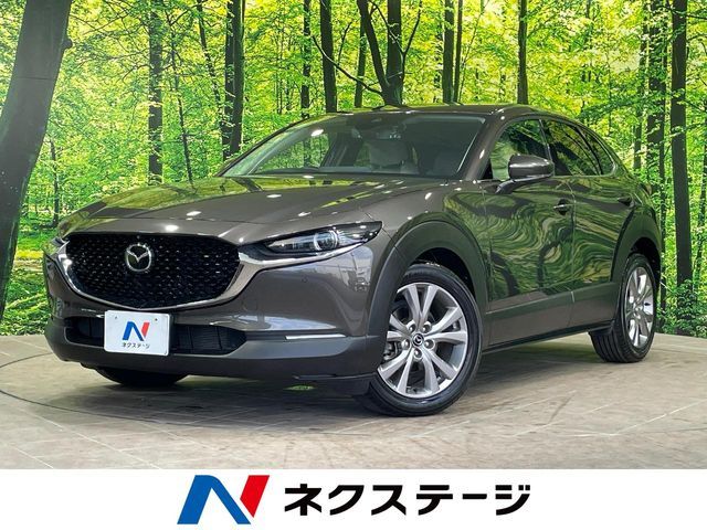 CX-30
