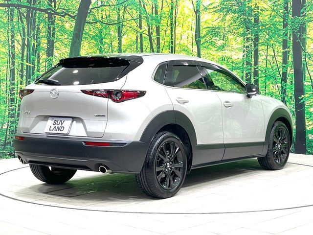 CX-30