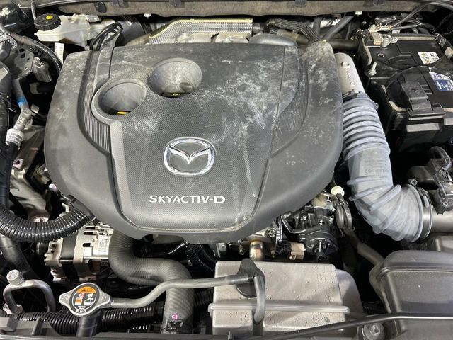 CX-8