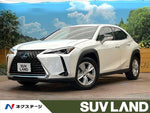 LEXUS UX250h