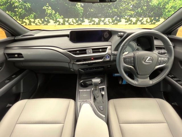 LEXUS UX250h