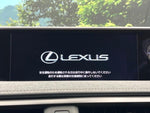 LEXUS UX250h