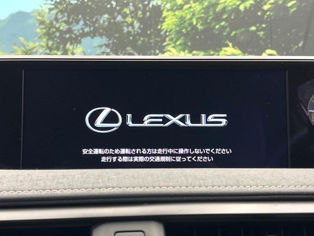 LEXUS UX250h
