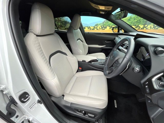 LEXUS UX250h
