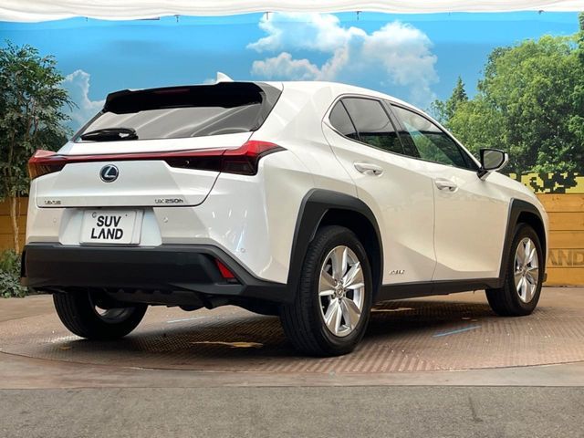 LEXUS UX250h