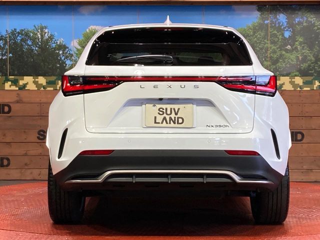 LEXUS NX350h