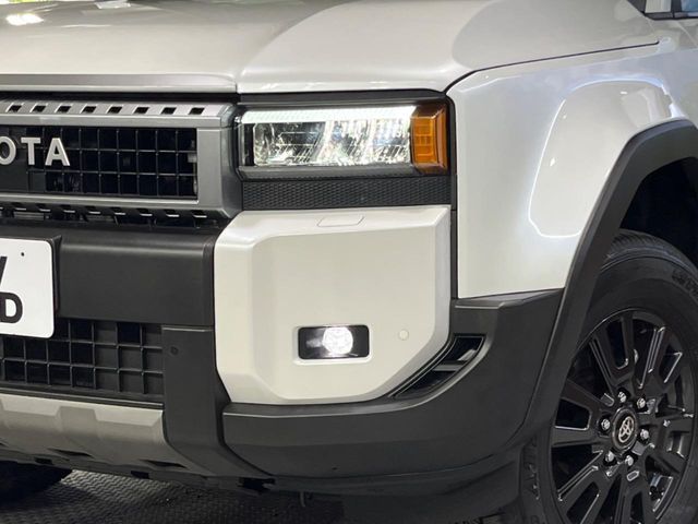 LANDCRUISER 250