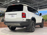 LANDCRUISER 250