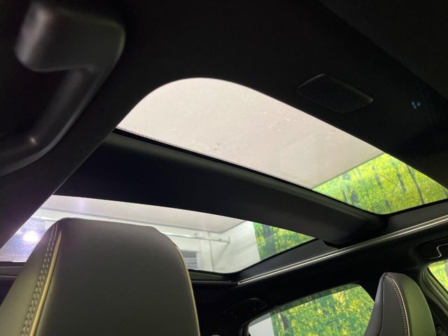 CROWN SPORT