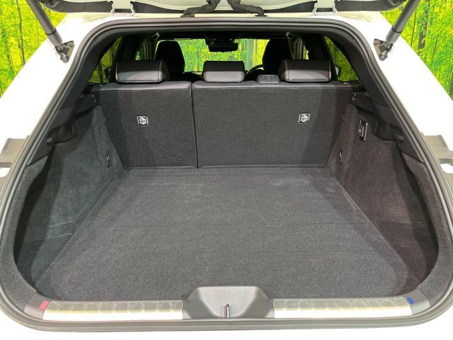 CROWN SPORT
