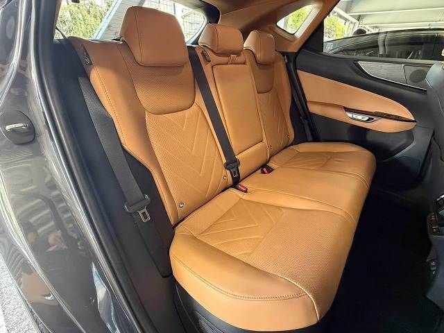 LEXUS NX350h