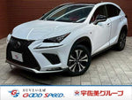 LEXUS NX300h