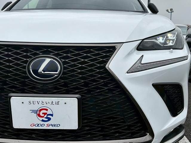 LEXUS NX300h