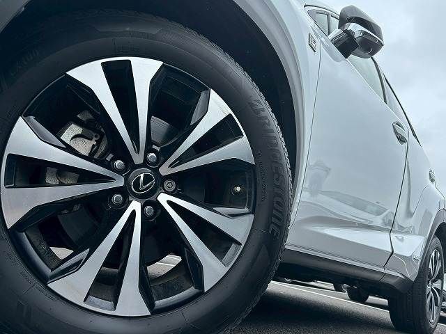 LEXUS NX300h