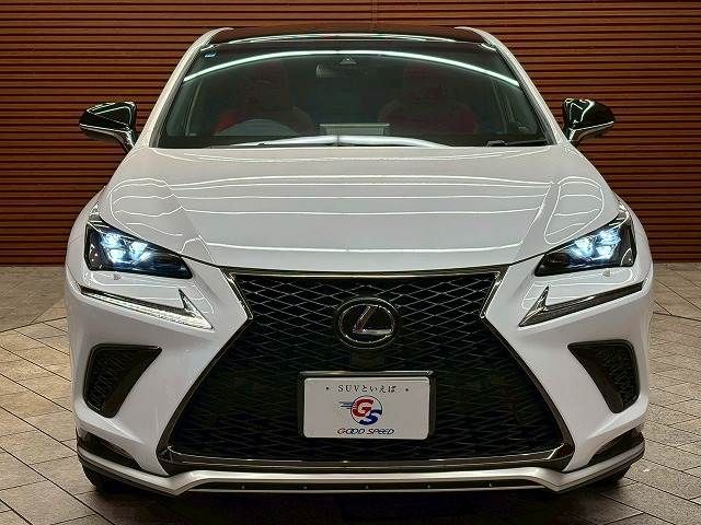 LEXUS NX300h